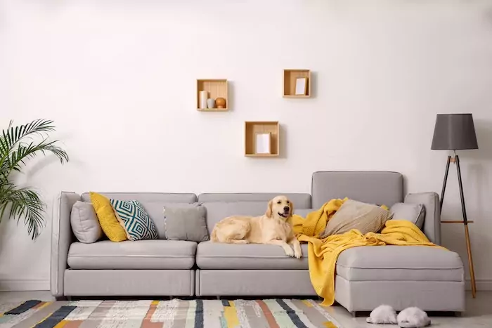 6 Pet-Friendly Materials and Textiles to Incorporate in Your Home