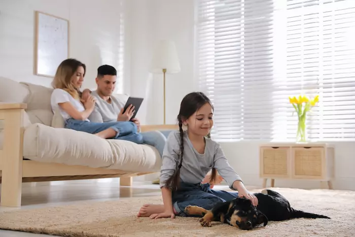 Why Soundproofing Your Home is Essential If You are a Pet Parent