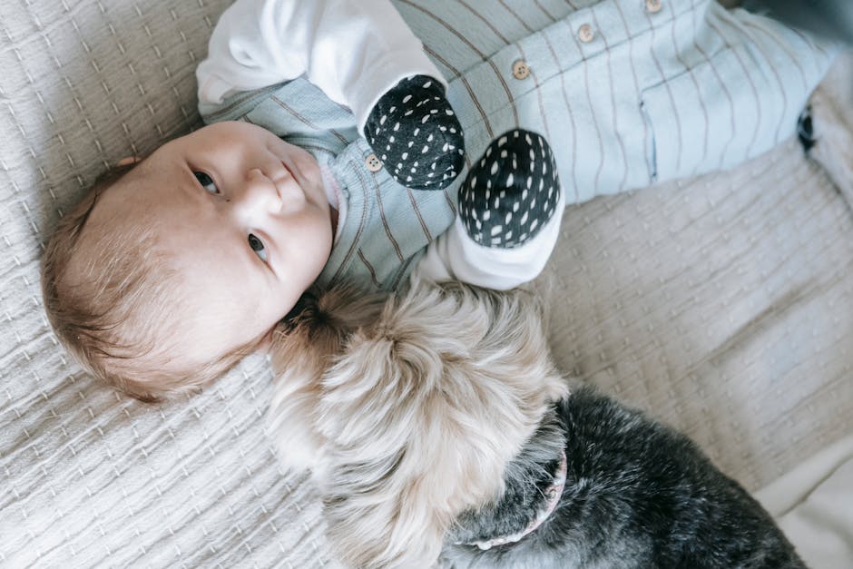 Baby Sleep Training Podcasts: Your Practical Listening Guide