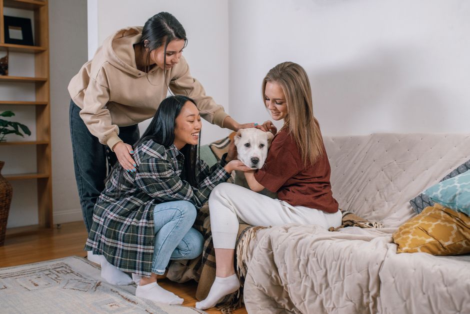 Three women enjoying a cozy moment with a white dog on a sofa in their living room.