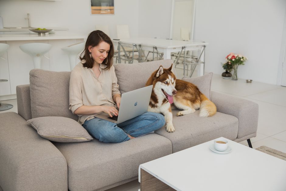 Best Pet-Friendly Sofa Covers for Scratches and Stains in 2026