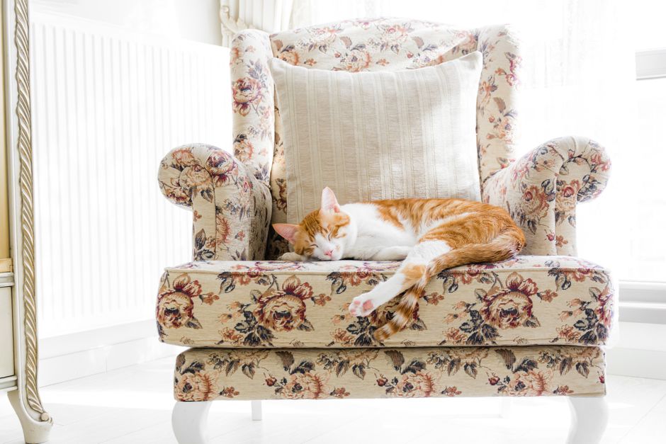 A ginger and white cat peacefully sleeps on a vintage floral armchair in a bright interior.