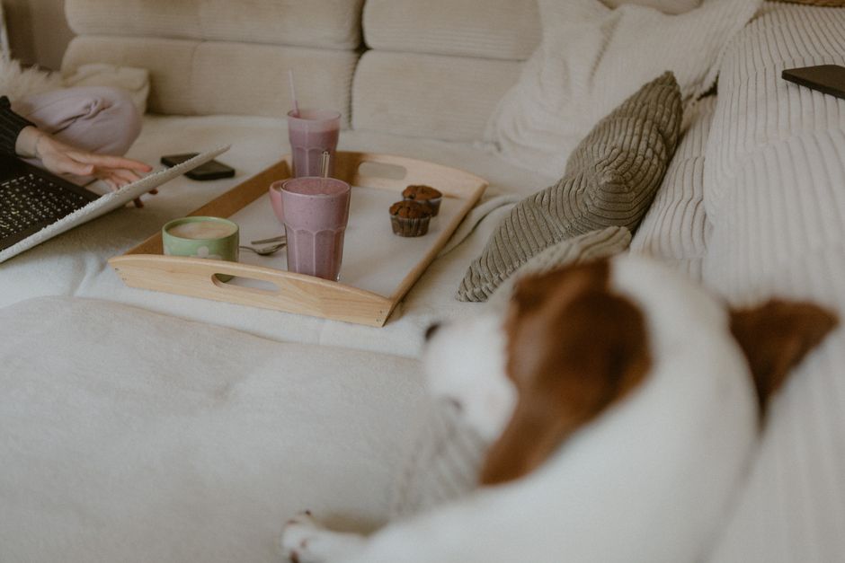 A peaceful home office scene with a person working on a laptop, smoothies, and a dog relaxing on a couch.