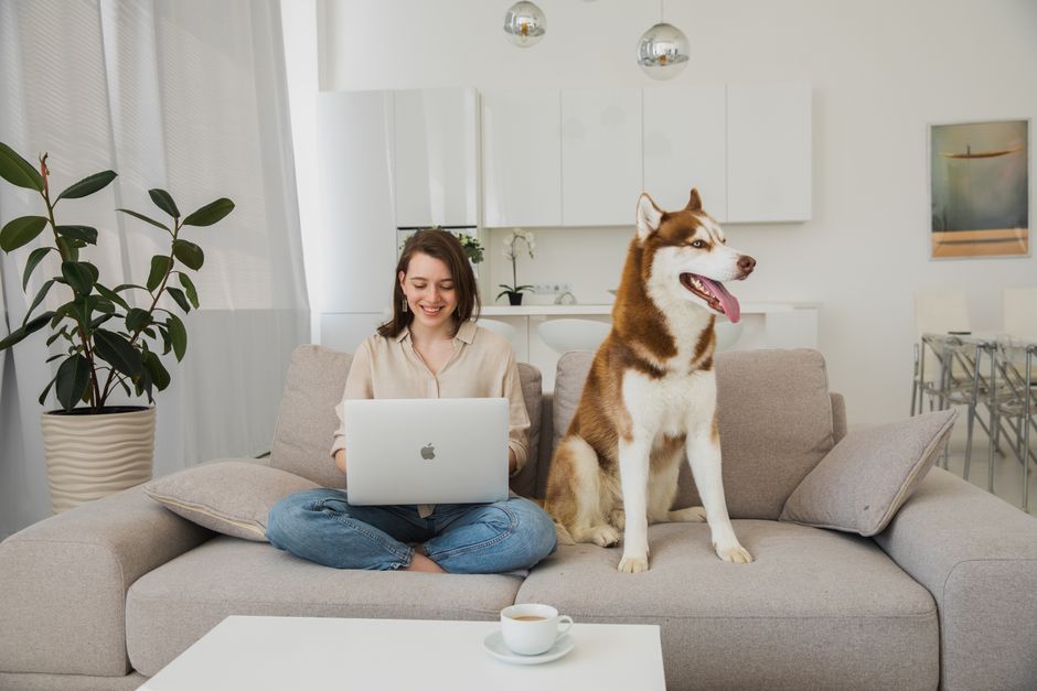 A young woman smiles while using a laptop next to her Siberian Husky on a sofa.