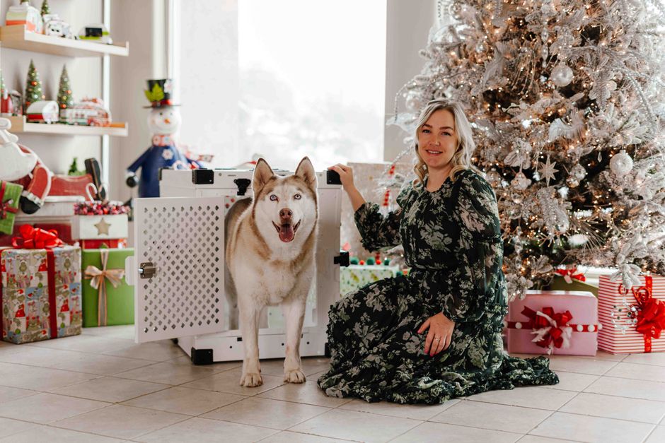 Crate Training Your Puppy Overnight: A Calm 2026 Plan