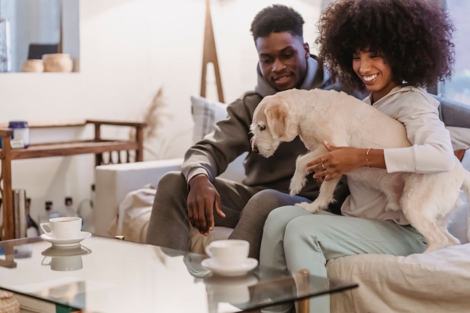 Crop African American smiling girlfriend with fluffy cute dog near ethnic boyfriend in lounge