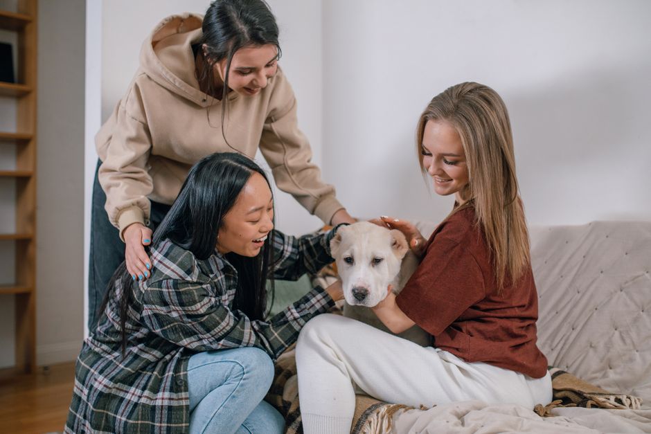 Three women enjoying time with a white dog on a sofa, capturing friendship and pet bonding indoors.