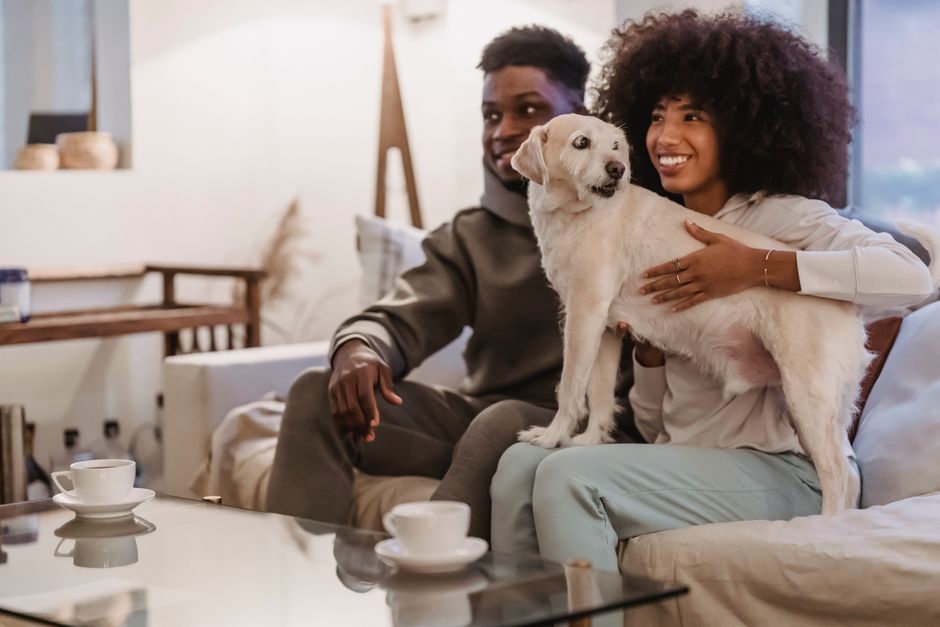 How to Keep Your Family Home Cool in a Heatwave