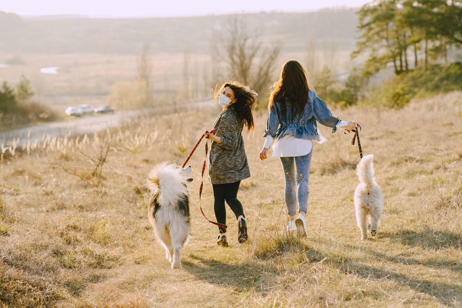 Mother’s Day in the UK: 7 Home Ideas for Mothering Sunday