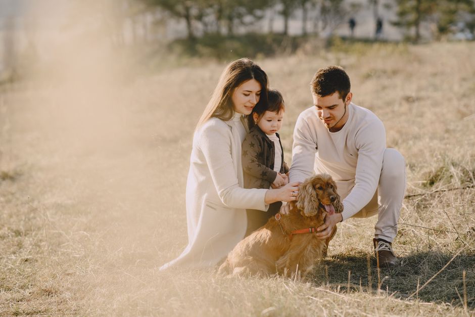 ONTHEWEI 3-in-1 Bassinet vs. Portable Bidet: What Traveling Parents Actually Need