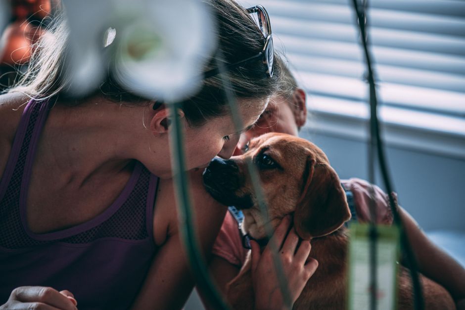 Pet First Aid Supplies: 7 Essentials for Emergencies