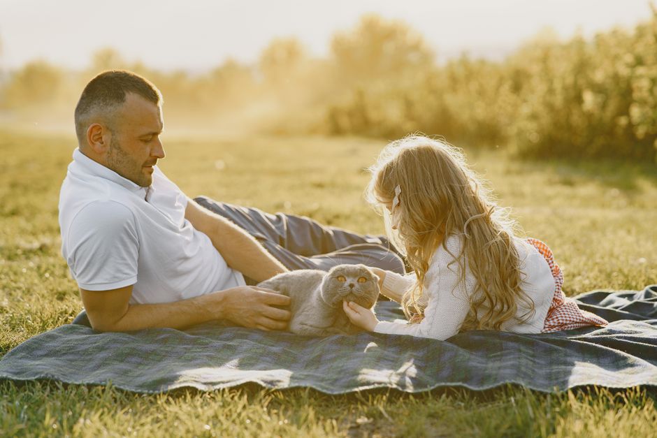 7 Pet First Aid Supplies That Help in Emergencies