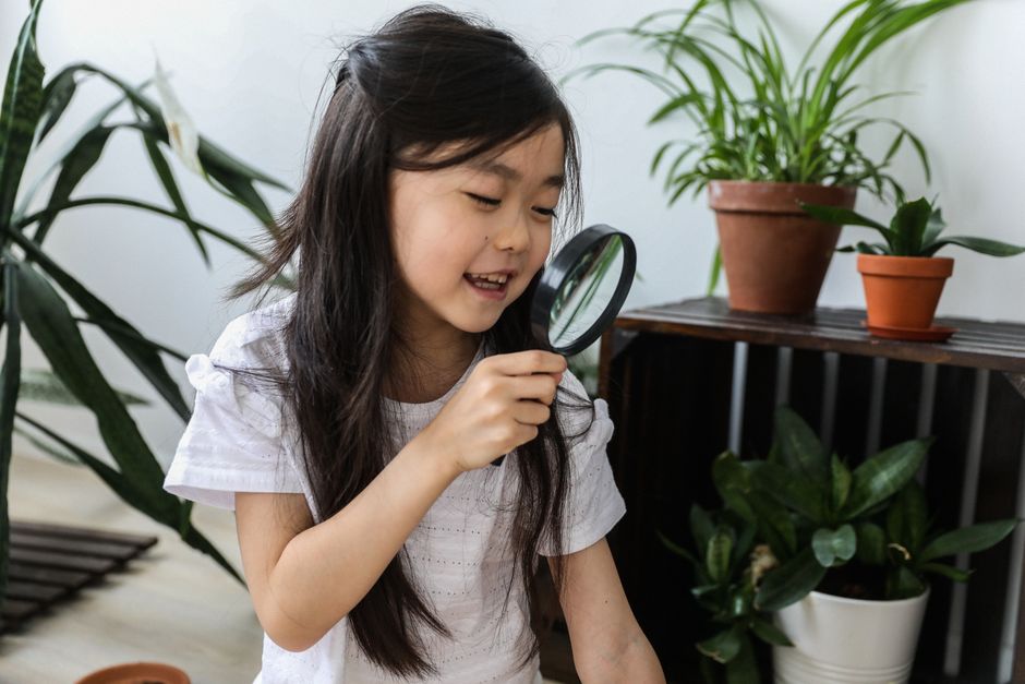 Small cheerful curious funny Asian girl with magnifier in spacious room with green plants