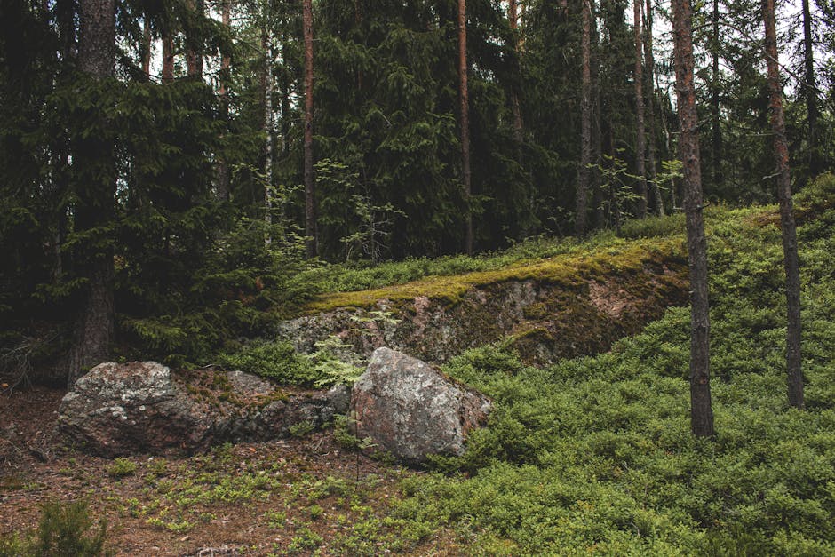 Car Seat Stroller Combos: Choosing a Travel System That Works