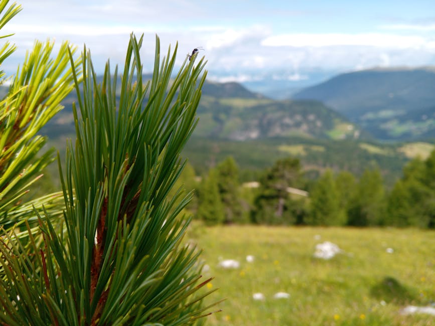 Mint Mobile vs Visible: Family Plan Costs Compared in 2026