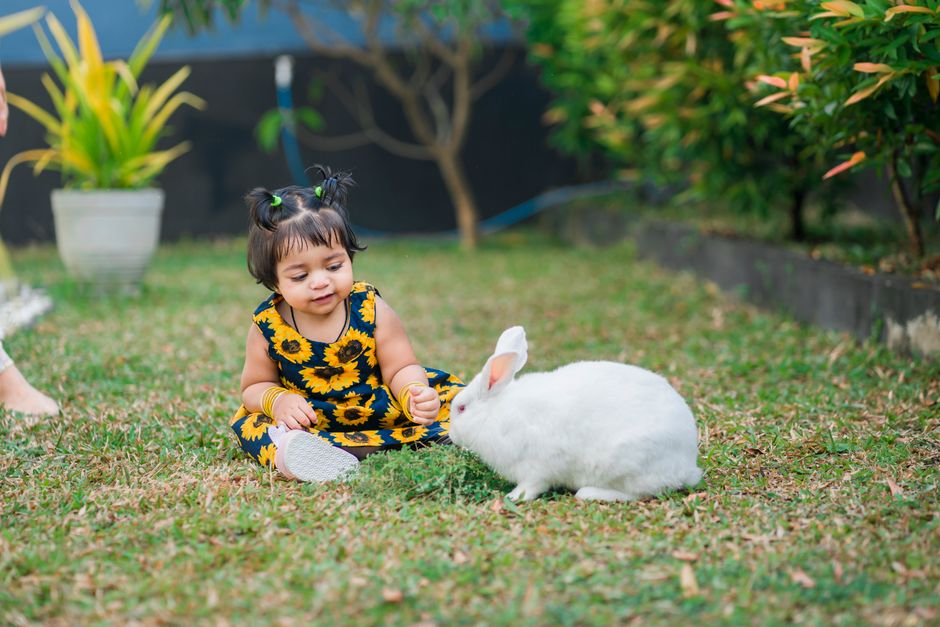 Cute toddler with pigtails playing with a white rabbit on the grass in a floral dress.